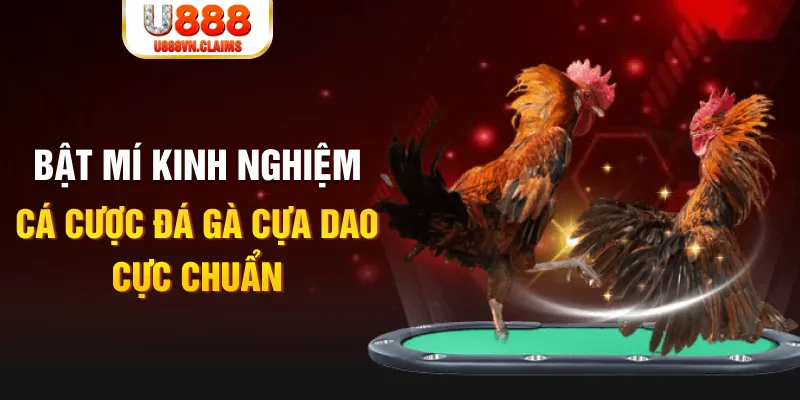 f8bet50 trong baccarat, ai là người chia bài chính？