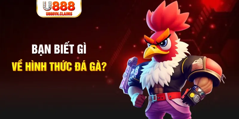 f8bet50 đăng nhập mậu binh dễ thắng