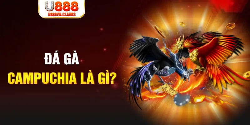 f8bet50 gà chọi đắk pơ
