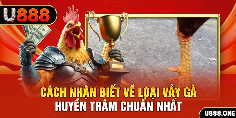 f8bet50 Chú hề Patty tuổi teen