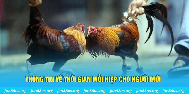 f8bet50 Long Hổ 2
