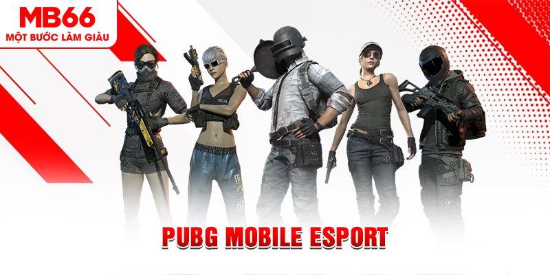 f8bet50 gà chọi c1 mới nhất