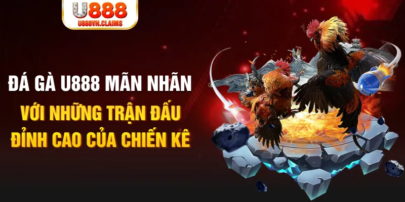 f8bet50 kết quả xổ số miền bắc ngày hôm nay