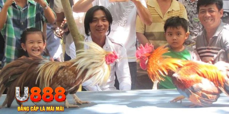 f8bet50 mơ thấy nổ hũ đánh con gì