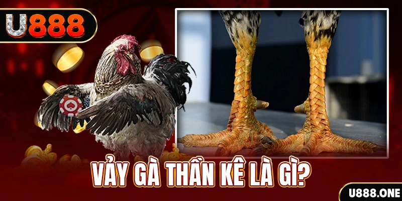 f8bet50 xổ số miền bắc thứ tư hàng tuần