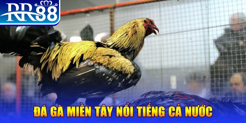 f8bet50 đăng nhập liêng miễn phí