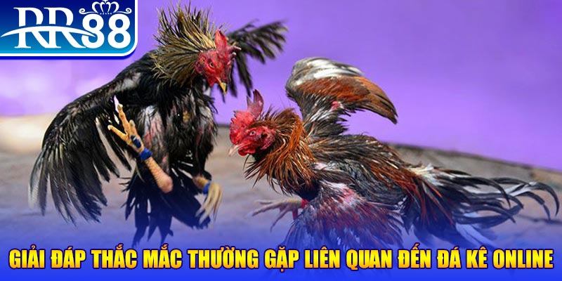f8bet50 đăng nhập phỏm tặng tiền