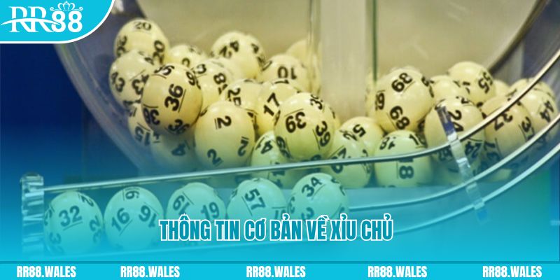 f8bet50 baccarat long bảo là gì