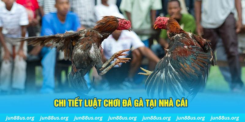 f8bet50 đăng nhập sòng bạc uy tín