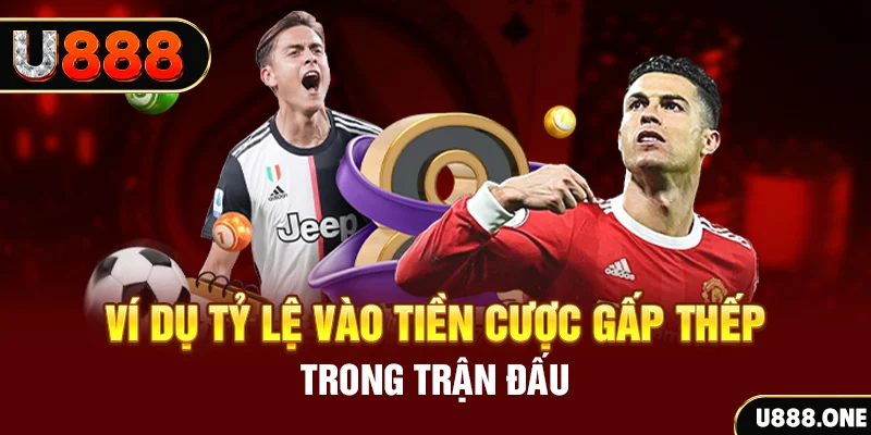 f8bet50 trực tiếp đá gà c3