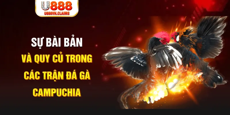 f8bet50 baccarat lừa đảo như thế nào