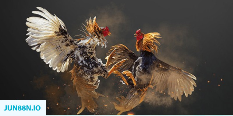 f8bet50 đăng nhập sòng bạc miễn phí