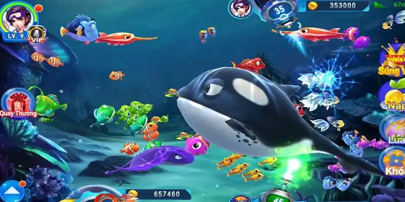 f8bet50 truc tiep da ga