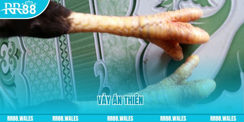 f8bet50 who wants to be a millionaire slot