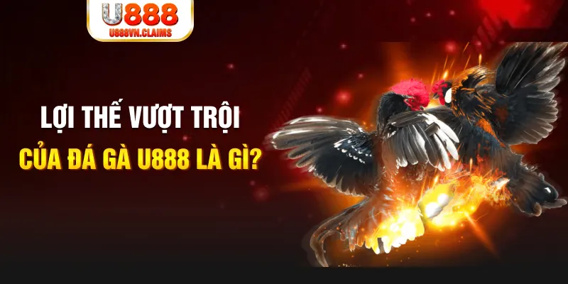 f8bet50 888 slot là gì